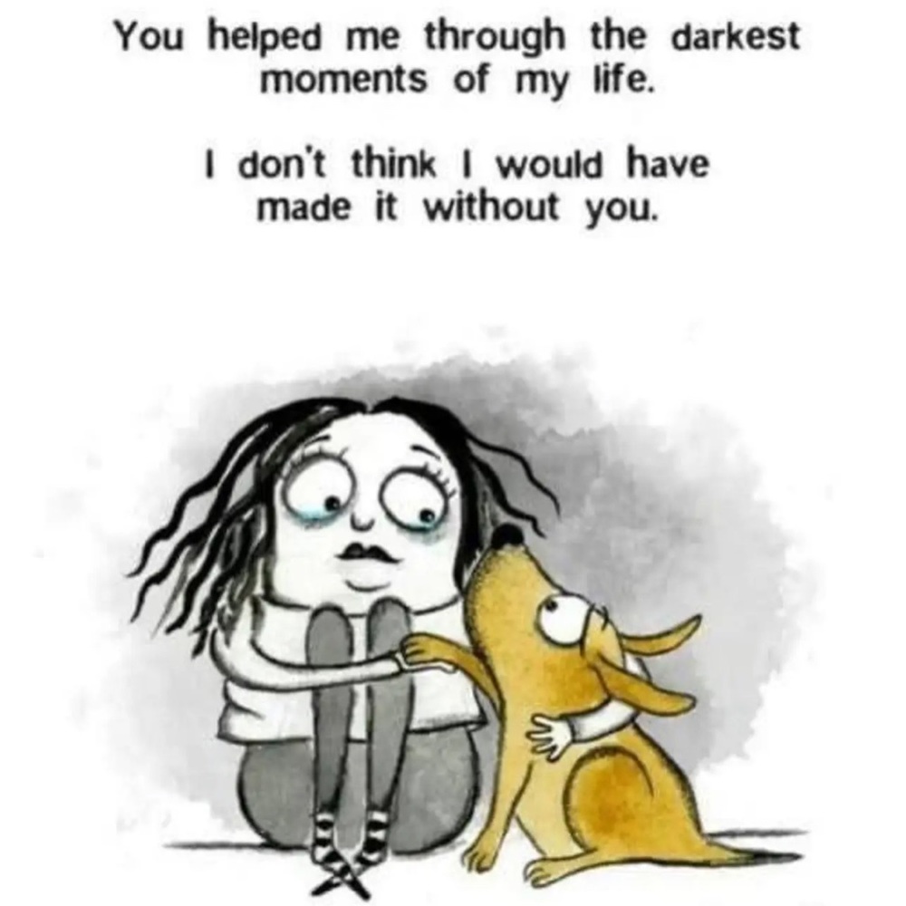 Meet your Posher, Pree